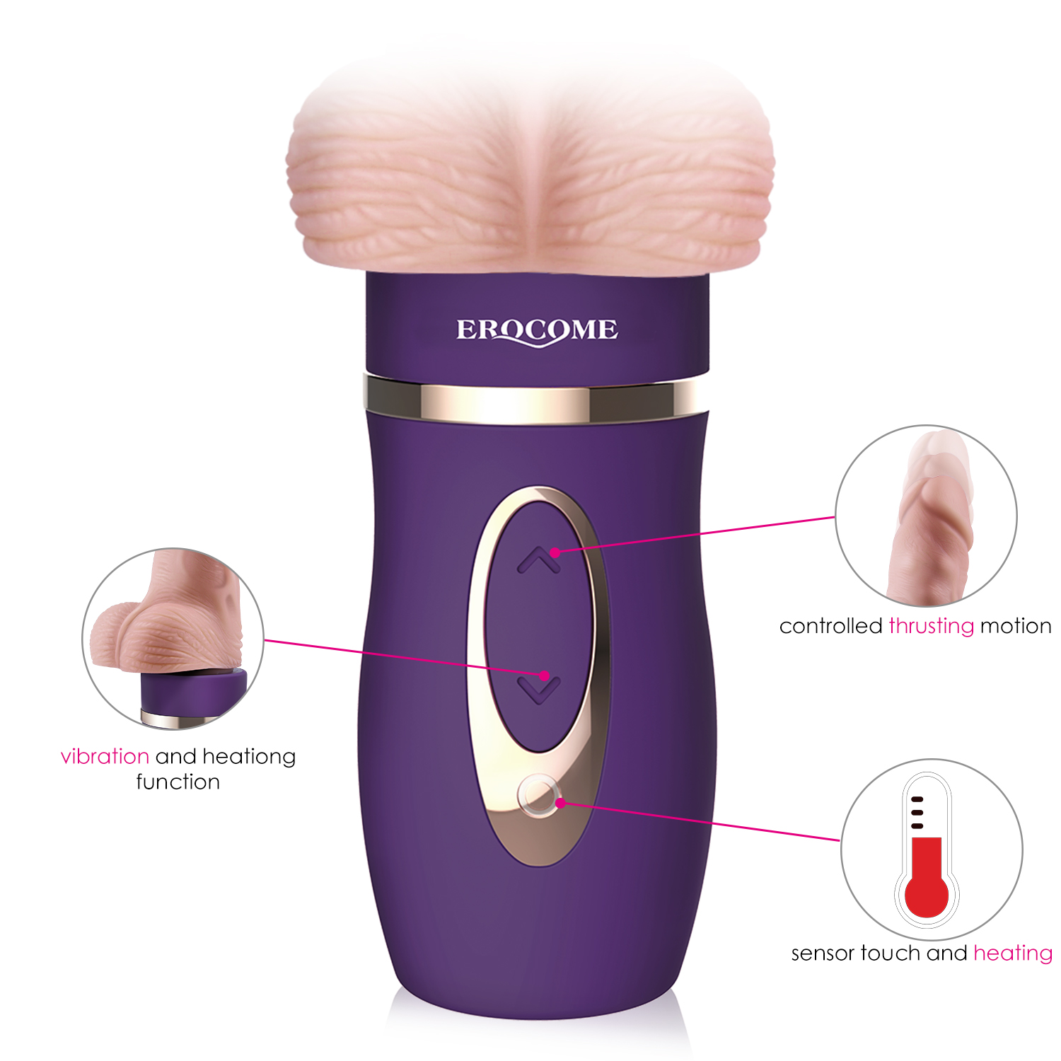 1-2 Erocome - Bootes - Purple